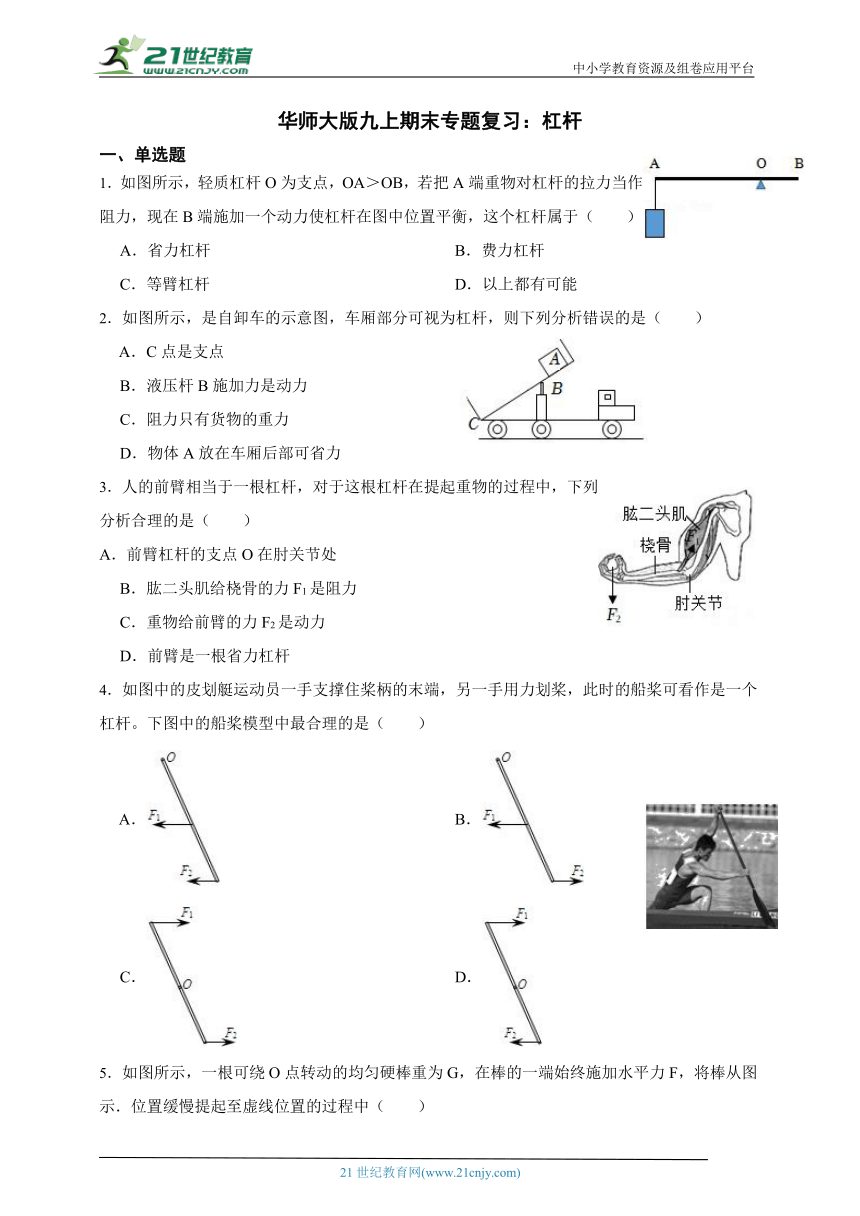 华师大版科学九上期末专题复习：杠杆（含答案）