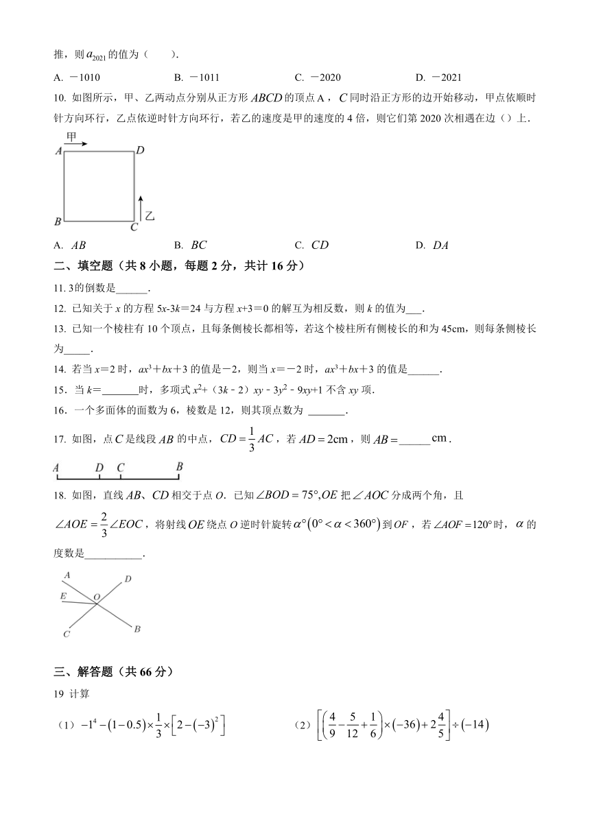 江苏苏州地区2023-2024学年七年级数学上学期12月月考模拟试卷(无答案)
