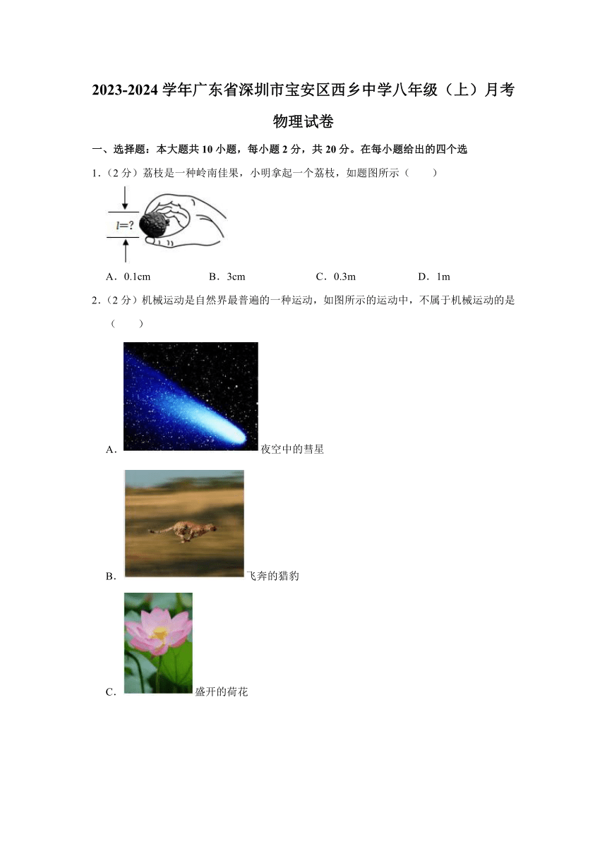 2023-2024学年广东省深圳市宝安区西乡中学八年级（上）月考物理试卷（含解析）