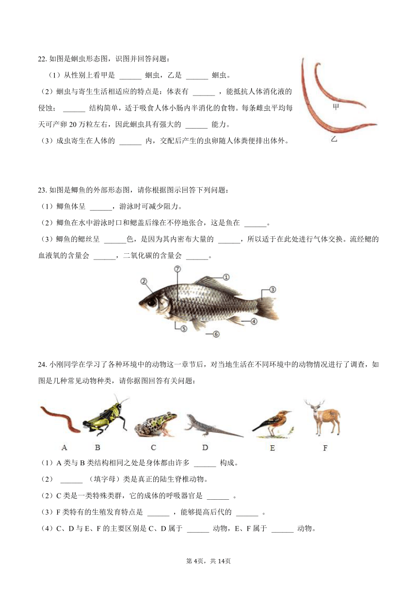 2023-2024学年河北省张家口市蔚县衡实学校八年级（上）第一次月考生物试卷（含解析）