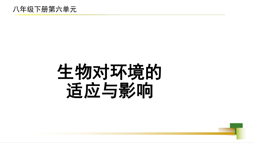 6.1.2生物对环境的适应与影响 课件(共21张PPT＋内嵌视频1个) 济南版八年级生物下册