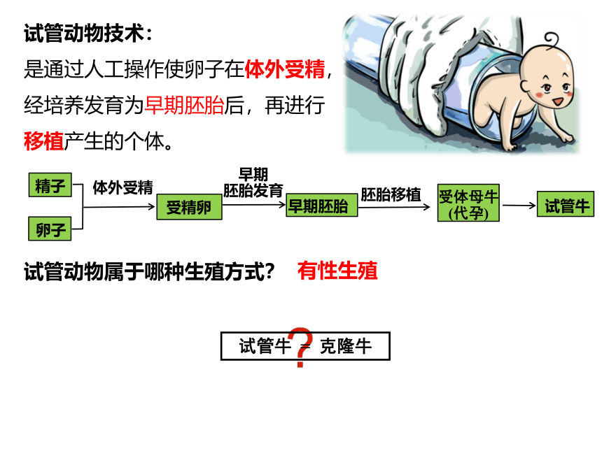 2.3胚胎工程课件新教材课件-(共35张PPT)2022-2023学年高二下学期生物人教版（2019）选择性必修3