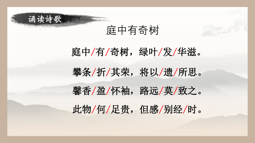 八年级上册 第三单元 课外古诗词诵读 庭中有奇树 课件（共20张ppt）