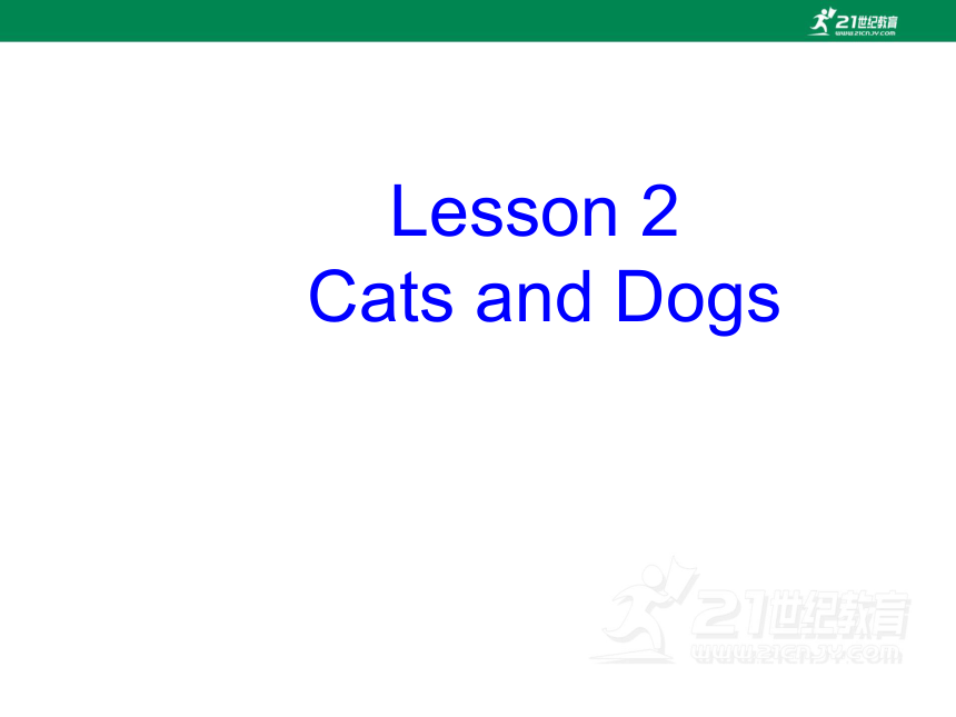 Unit 1 Lesson 2 Cats and Dogs 课件
