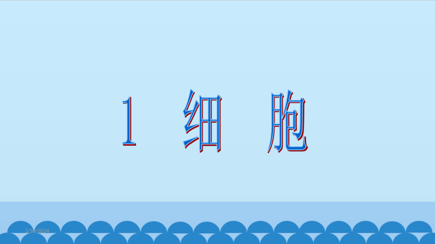 青岛版（六三制2017秋）六年级上册科学-1.1.细胞 课件(共24张PPT)