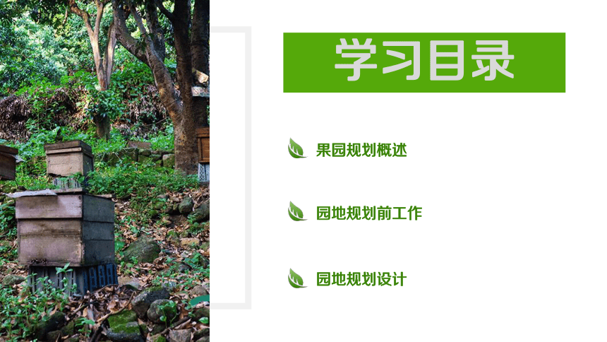 1.3规划设计标准化果园 课件(共22张PPT)-《果树生产技术》同步教学（中国农业出版社）