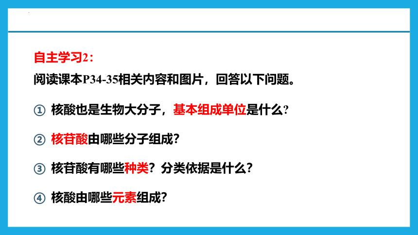 2.5核酸是遗传信息的携带者 课件(共39张PPT)