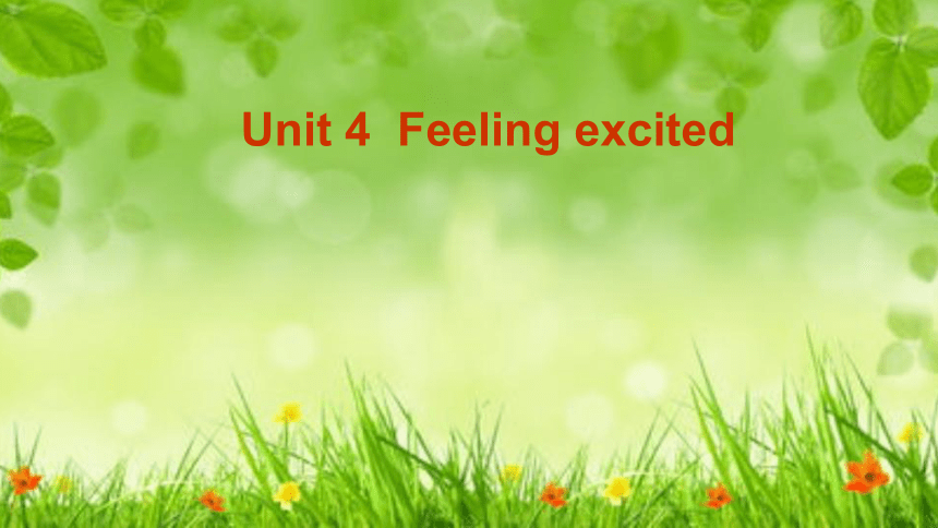 Unit 4 Feeling Excited第1课时课件(共22张PPT)