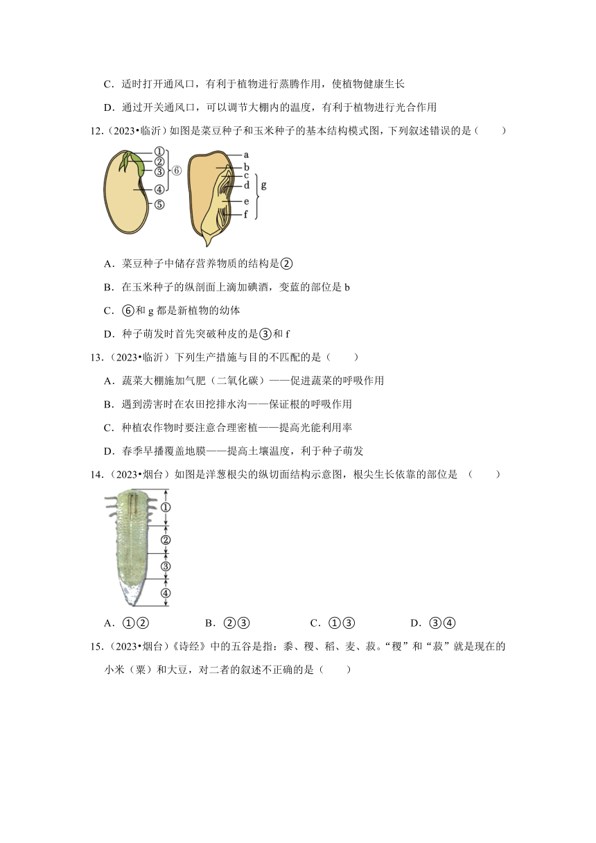 专题3绿色植物——2022-2023年山东省中考生物试题分类（含解析）