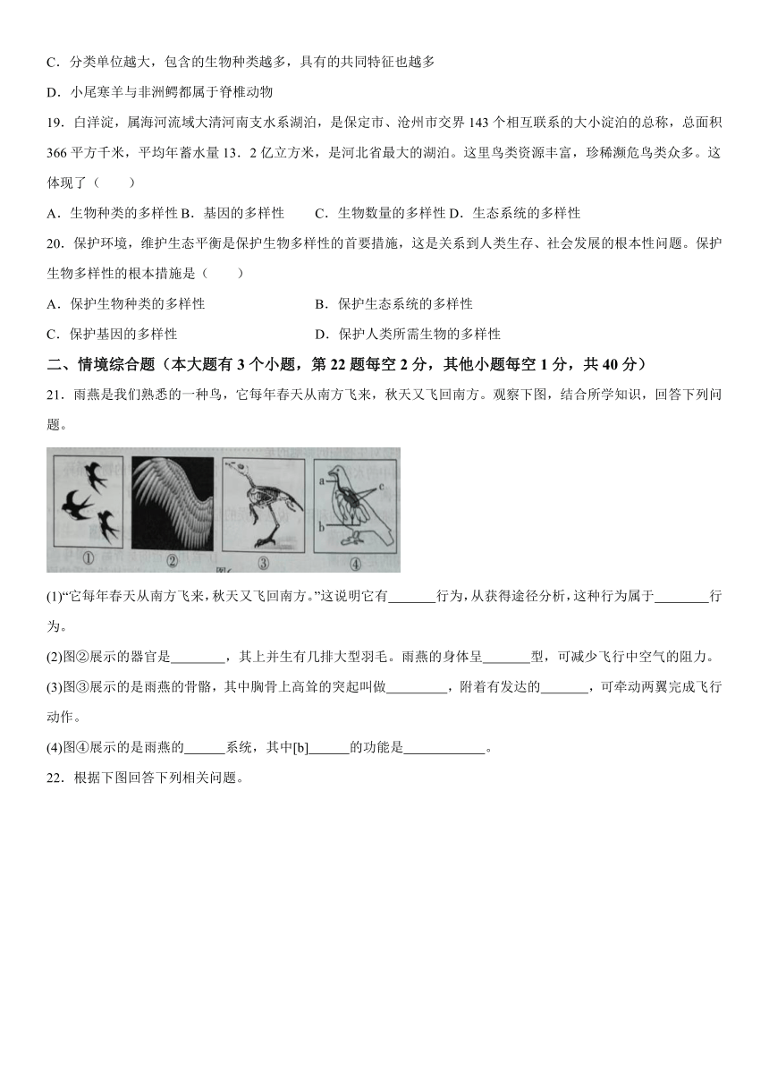 河北省沧州市部分学校2023-2024学年八年级上册12月月考生物试题（含解析）