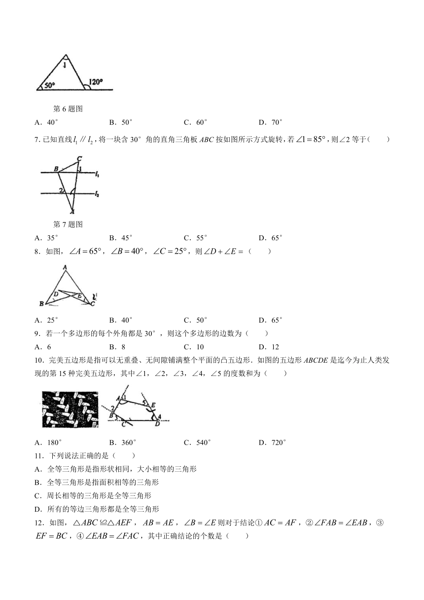 山西省大同市第三中学校2023-2024学年八年级上学期第一次月考数学试题(无答案)