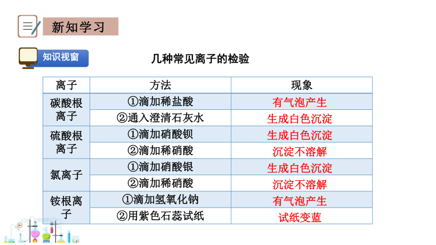 8.4 常见的盐 第2课时 课件(共20张PPT) 2023-2024学年科粤版化学九年级下册