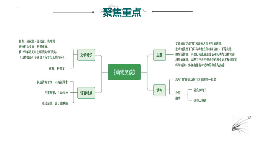 2023—2024学年统编版语文七年级上册第五单元复习建构课（共37张PPT）