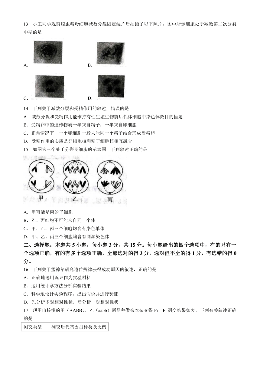 山东省大联考2023-2024学年高一下学期3月月考生物学试题（含解析）