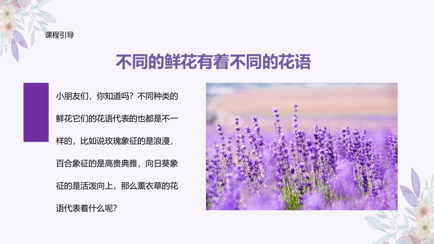 美术社团课程《浪漫的薰衣草》小学延时服务(共27张PPT)