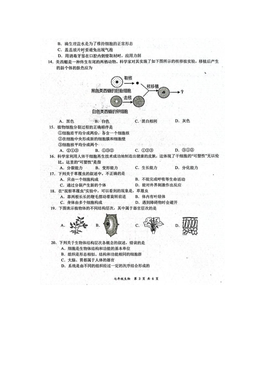 河南省周口市西华县2023-2024学年七年级上学期期中生物试题（图片版含答案）