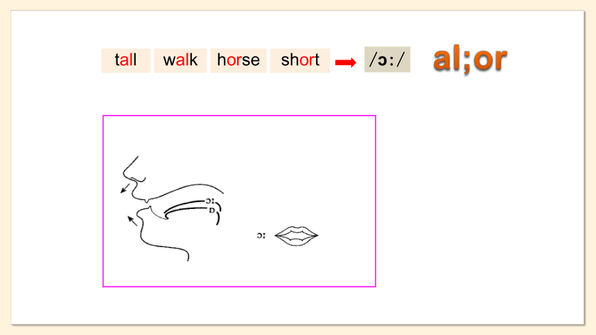 牛津译林版七年级上册Unit 4 My day Period 5 Study skills课件(共24张PPT)