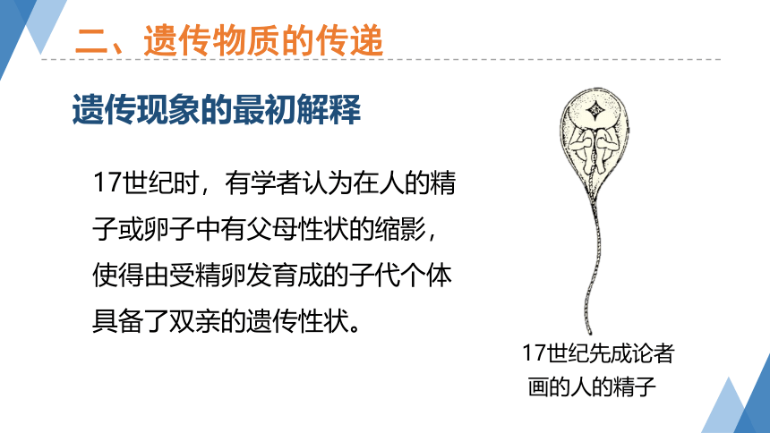 1.5.1 遗传与进化（课件 24张PPT）