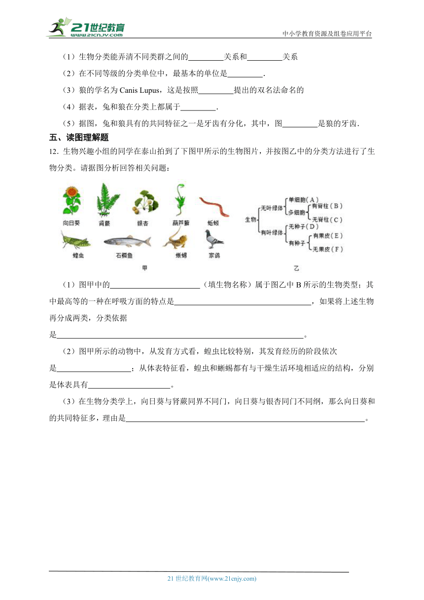 八年级上册6.1.1尝试对生物进行分类一课一练（含解析）