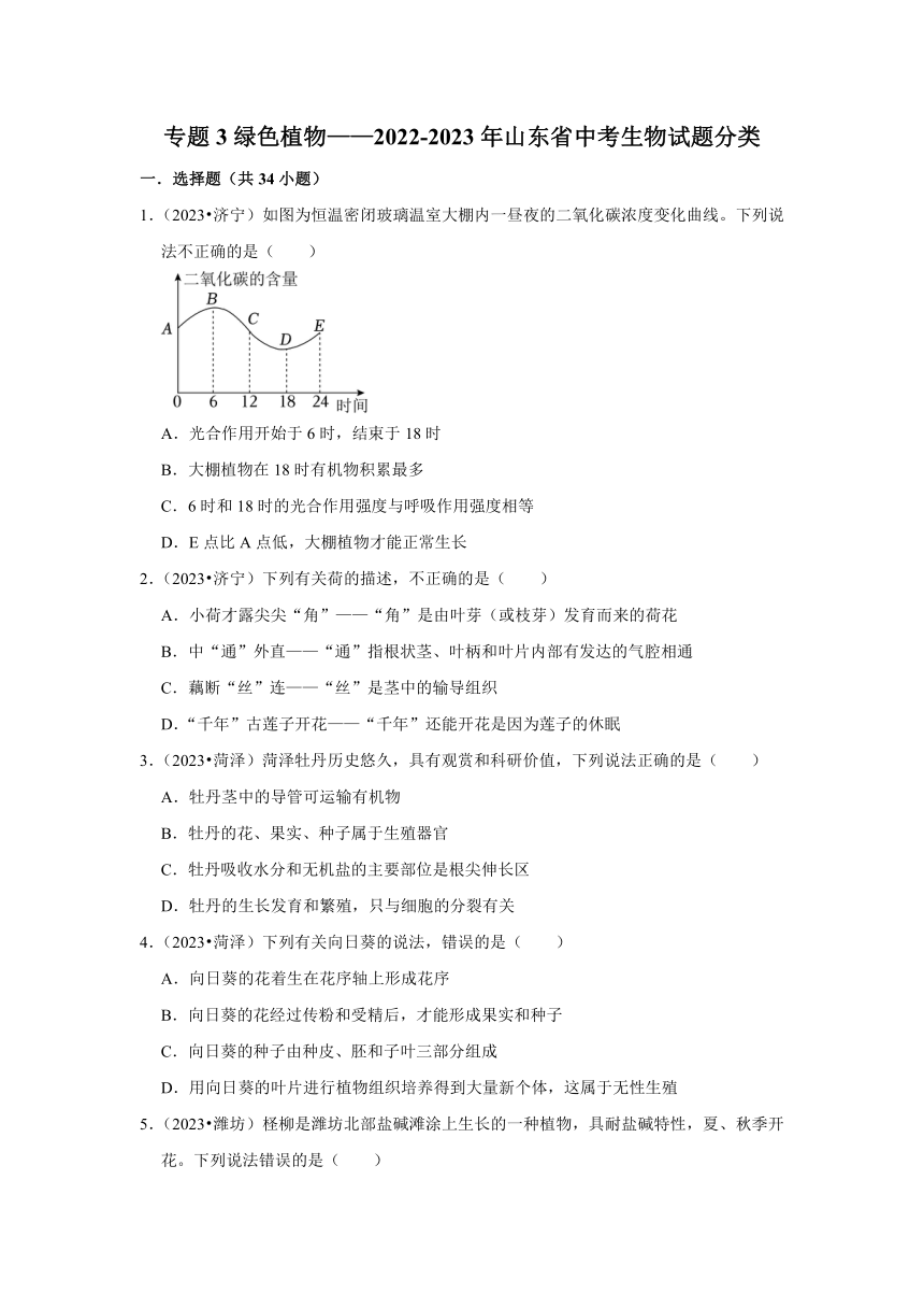 专题3绿色植物——2022-2023年山东省中考生物试题分类（含解析）