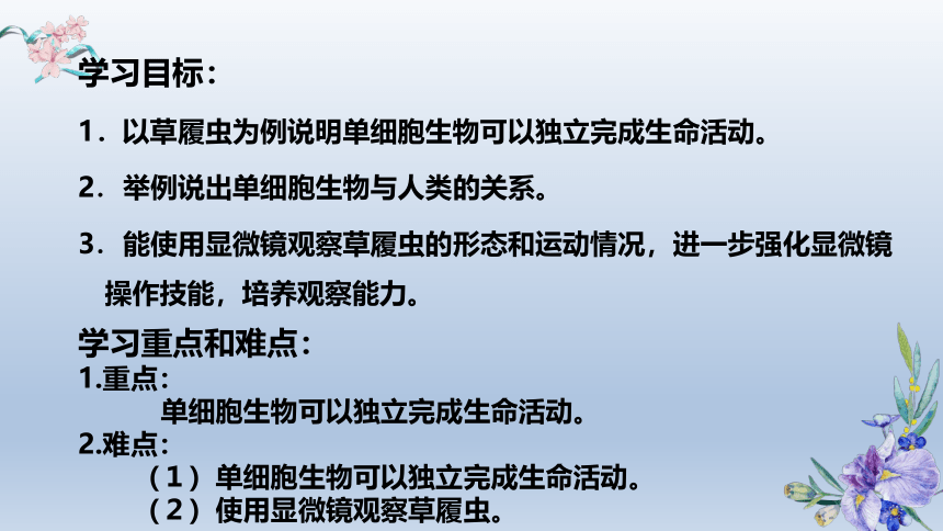 2.2.4单细胞生物课件(共19张PPT)