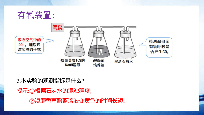 5.3.1 探究酵母菌细胞呼吸的方式和有氧呼吸(共29张PPT1份视频)-高一生物课件（人教版2019必修1）