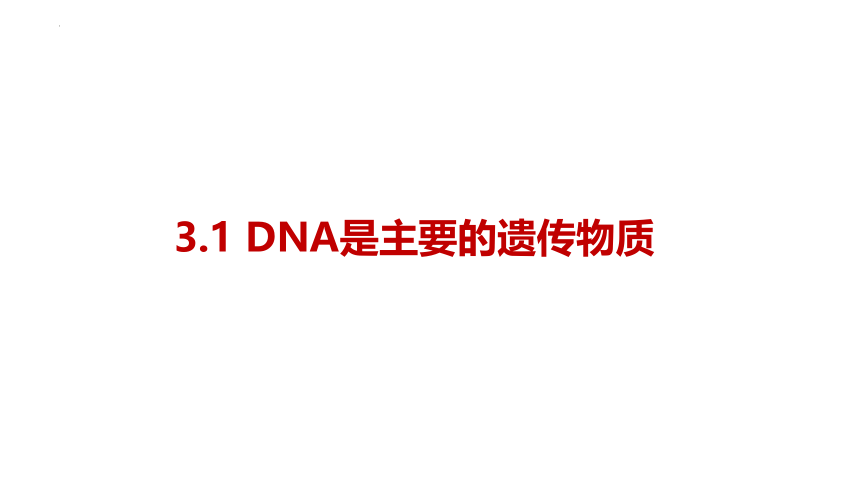 3.1DNA是主要的遗传物质课件(共30张PPT)-人教版（2019）必修2