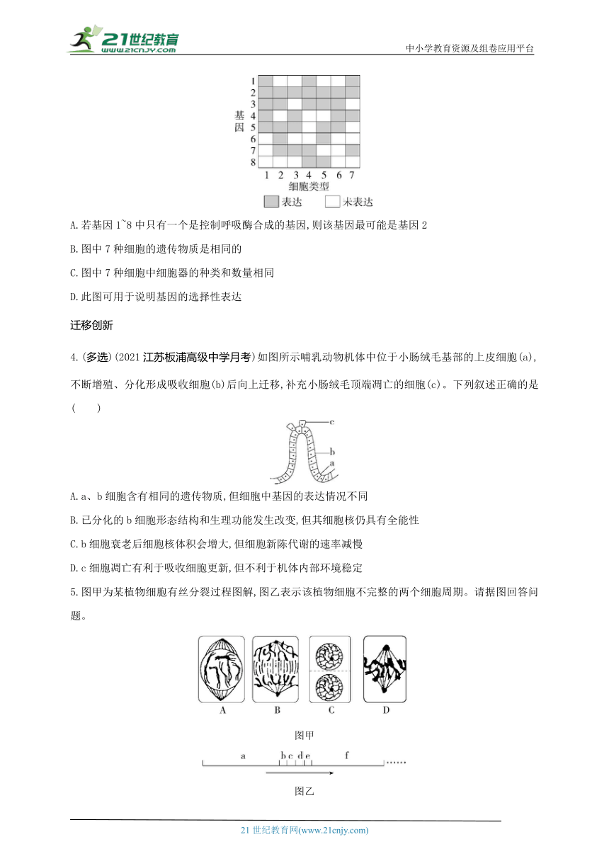 2024苏教版新教材高中生物必修1同步练习--第四章　 细胞增殖、分化、衰老和死亡综合拔高练（含答案）