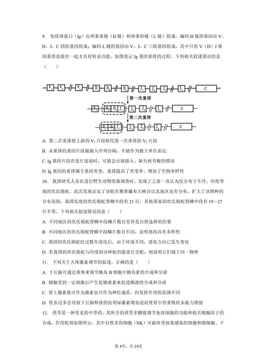 2023-2024学年湖北省部分学校高三（上）开学生物试卷（8月份）（含解析）