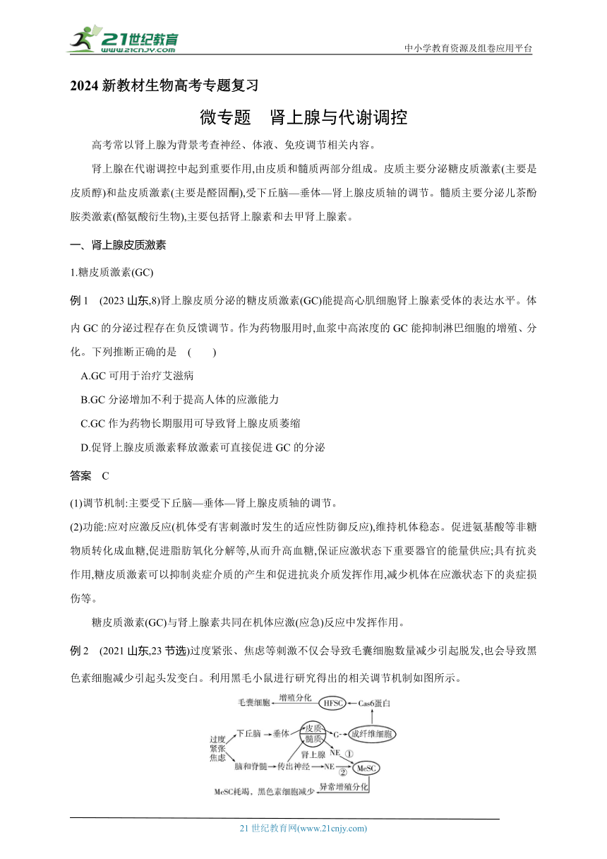 2024新教材生物高考专题复习--微专题　肾上腺与代谢调控（含答案）