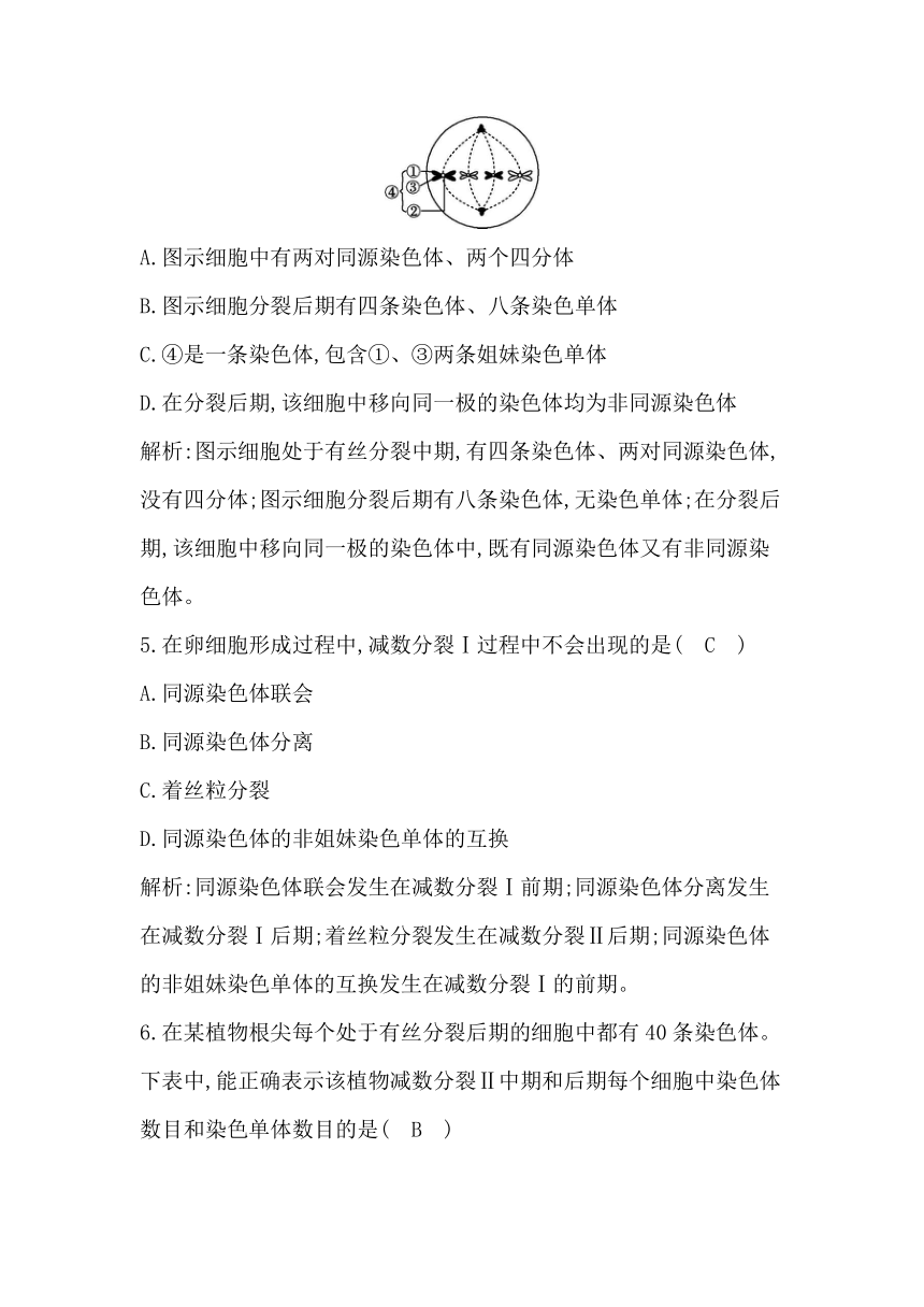 人教生物学必修2分层训练：2-1　减数分裂和受精作用 第1课时　减数分裂（含解析）