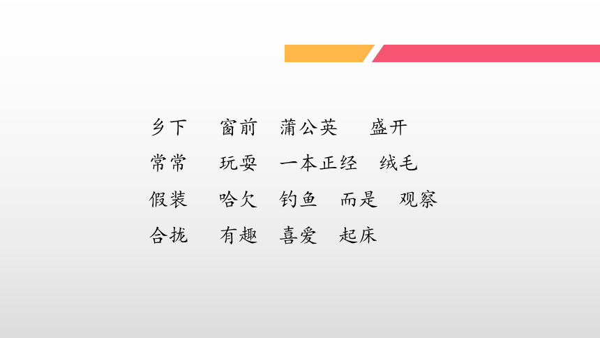 16.《金色的草地》课件(共21张PPT）