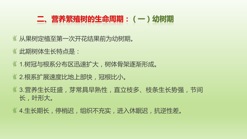 1.3.6果树的生命周期 课件(共17张PPT）-《果树生产技术》同步教学（中国农业出版社）