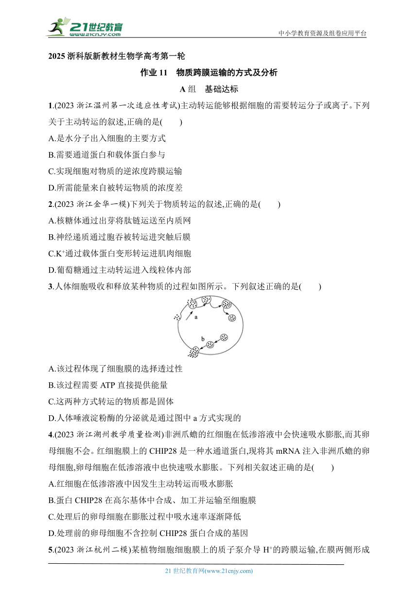 2025浙科版新教材生物学高考第一轮基础练--作业11　物质跨膜运输的方式及分析（含解析）