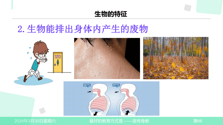 1.1.1.生物的特征课件（21张PPT）2022-2023学年人教版生物学七年级上册