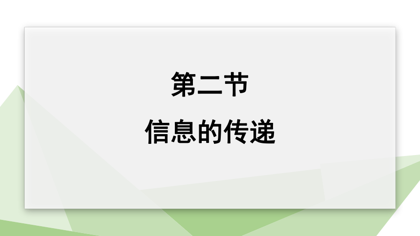 2.4.2 信息的传递   课件 (共15张PPT)2023-2024学年初中生物冀少版七年级下册