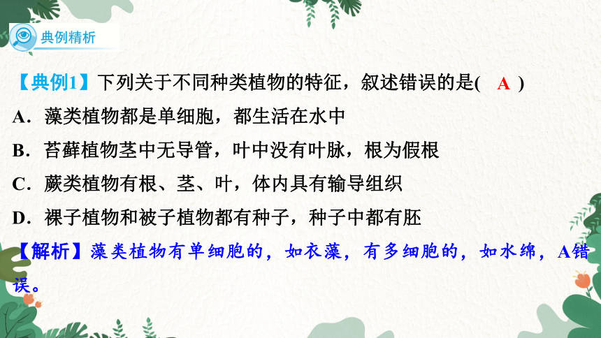 人教版生物七年级上册 第3单元 第1、2章 强化提升课件(共22张PPT)