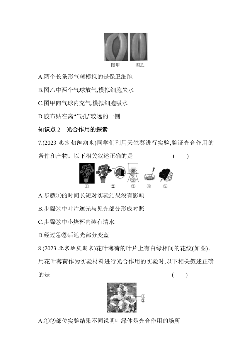 北京版生物七年级上册4.2叶片的结构和光合作用的探索（第1课时）素养提升练（含解析）