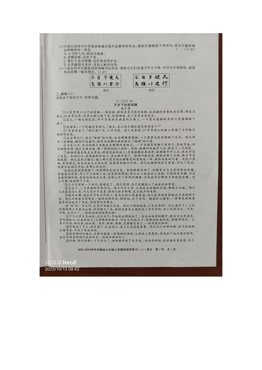 2023--2024学年安徽省九年级上学期阶段性练习（一）语文试卷（图片版无答案）