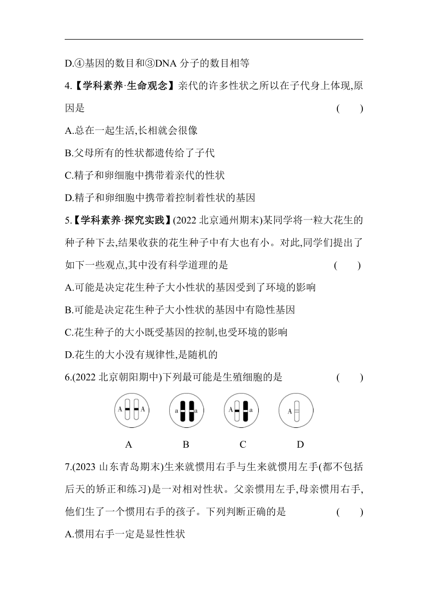 第十一章 生物的遗传和变异素养检测（含解析）北京版生物八年级上册