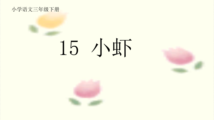 15.《小虾》课件(共24张PPT)