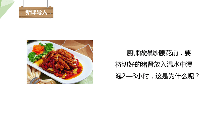 4.11.2 尿的形成与排出 课件（共24张PPT） 2023-2024学年初中生物北师版七年级下册