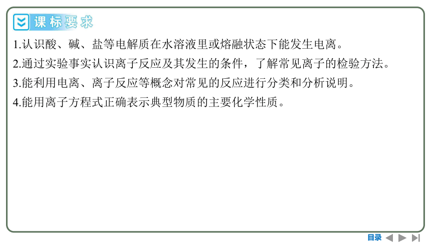 2024高考一轮复习  第一章  物质及其变化 第二节　离子反应　离子方程式（109张PPT）