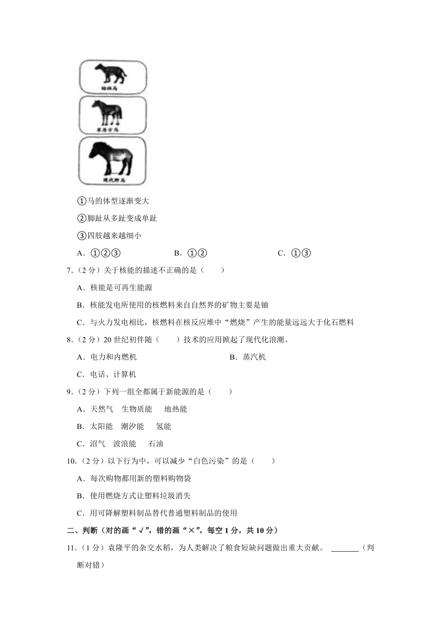 2023年湖南省湘潭市雨湖区小升初科学试卷（含解析）