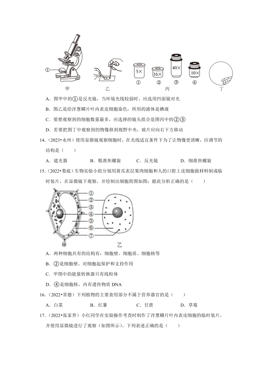 专题1生命系统的结构层次——2022-2023年湖南省中考生物试题分类（含解析）