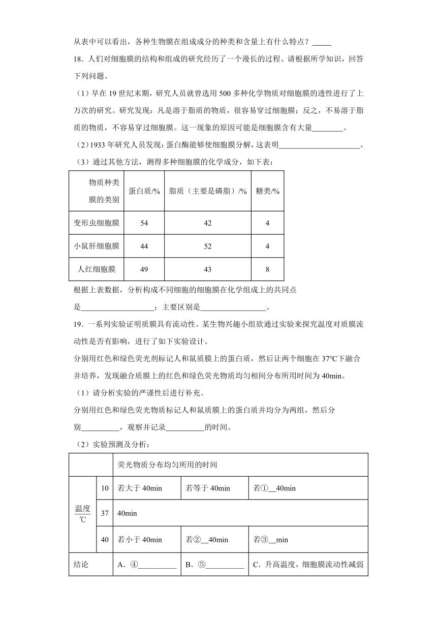 3.1细胞膜的结构和功能测试题（含解析）2023-2024学年高中生物学人教版（2019）必修1