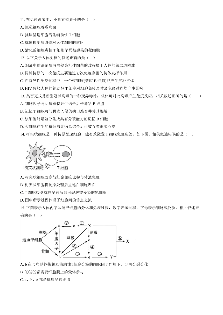 2023北京第一六一中高二（上）期中生物（解析版）