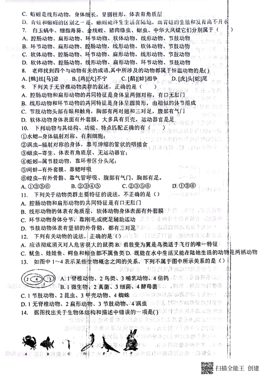 山东省聊城市冠县外国语学校2023-2024学年八年级上学期9月月考生物试卷（图片版 无答案）