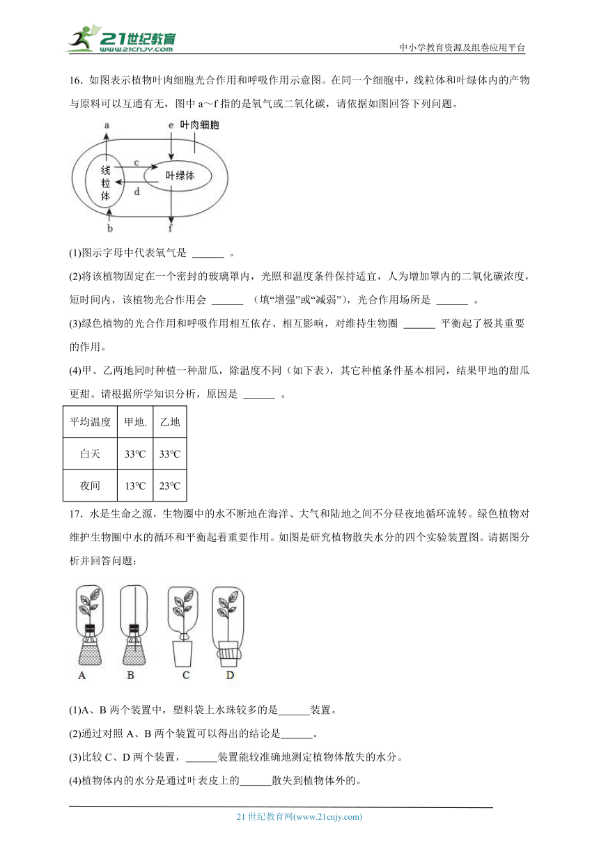 2023-2024学年初中生物济南版七年级上册期末复习专题10——绿色植物在生物圈的作用（答案 解析）