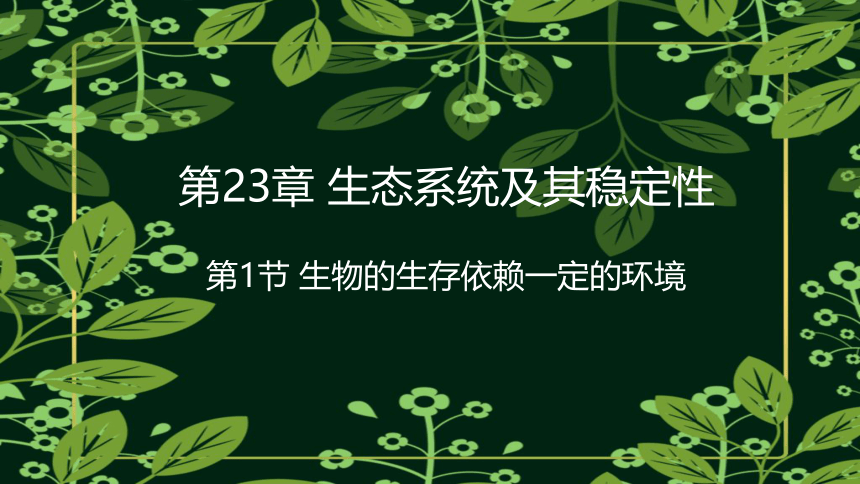 8.23.1生物的生存依赖一定的环境课件2023--2024学年北师大版生物八年级下册(共30张PPT)